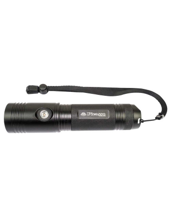 Picasso Flashlight MAXIMUS LED